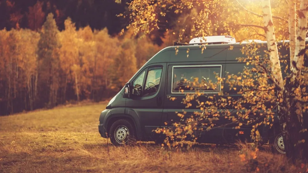 Wildcampen